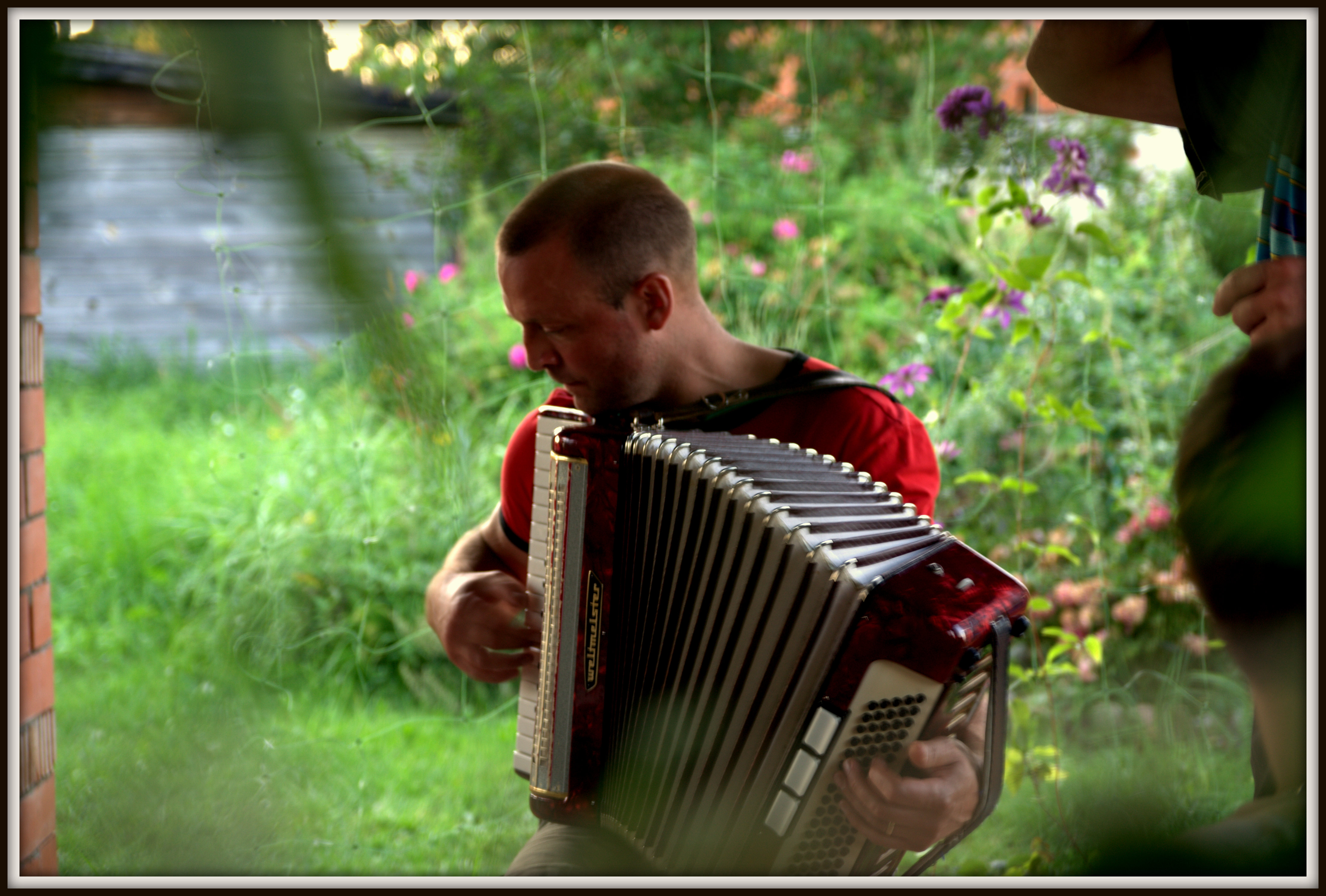 Accordion player in Somerset